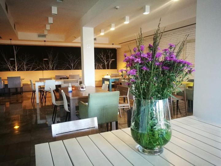 Heba Hotel Divčibare Eksteriør billede